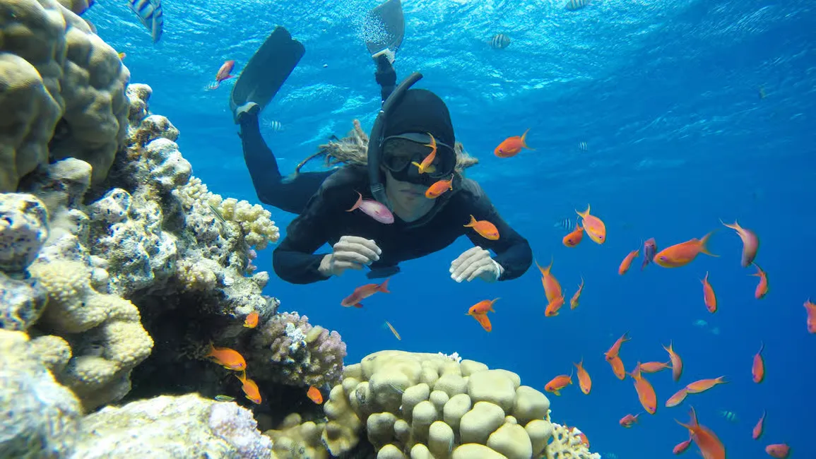 Orange Bay Island & Happy Dolphin Submarine 2-in-1 - Photo 2